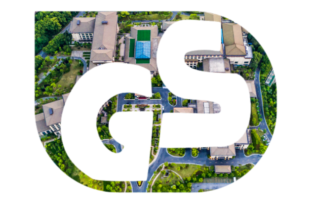 GS Logo - Mask Image